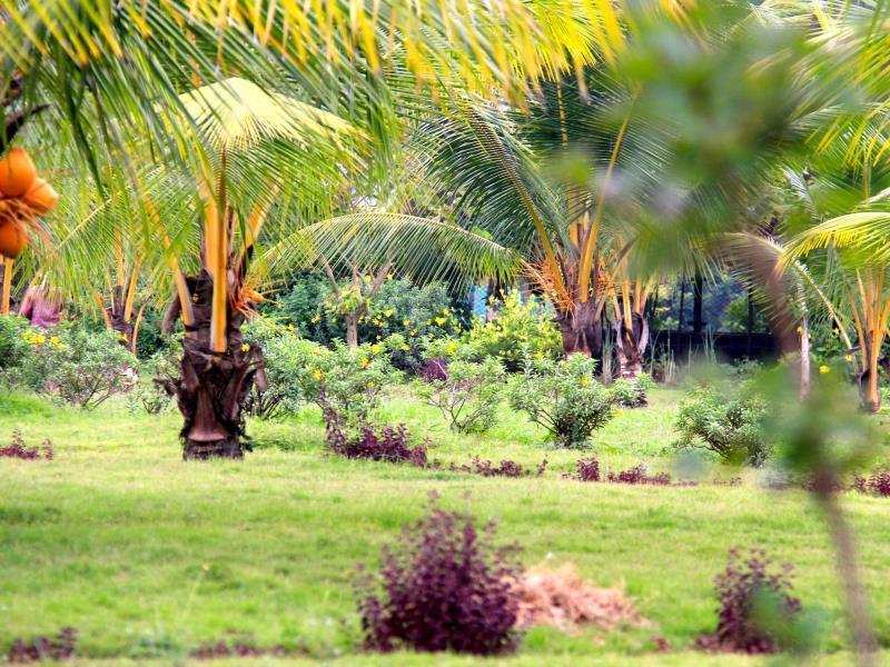 Okura Island Resort And Spa Kadalur Extérieur photo